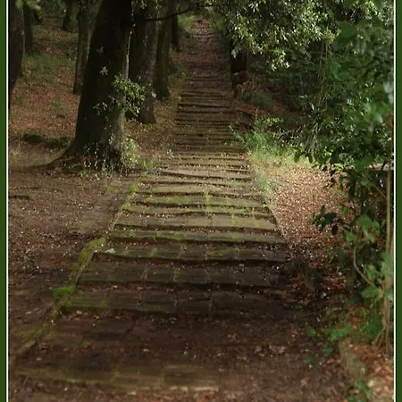 Castello Dell'oscano